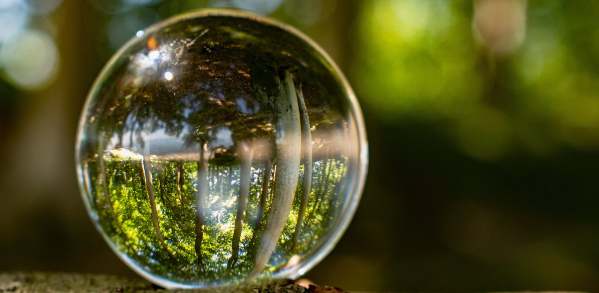 Nature inside a glass bowl with nature outside. Photo to show how to take care of the nature in the future. By bettysphotos - AdobeStock